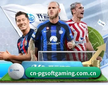 PG APP 深度功能